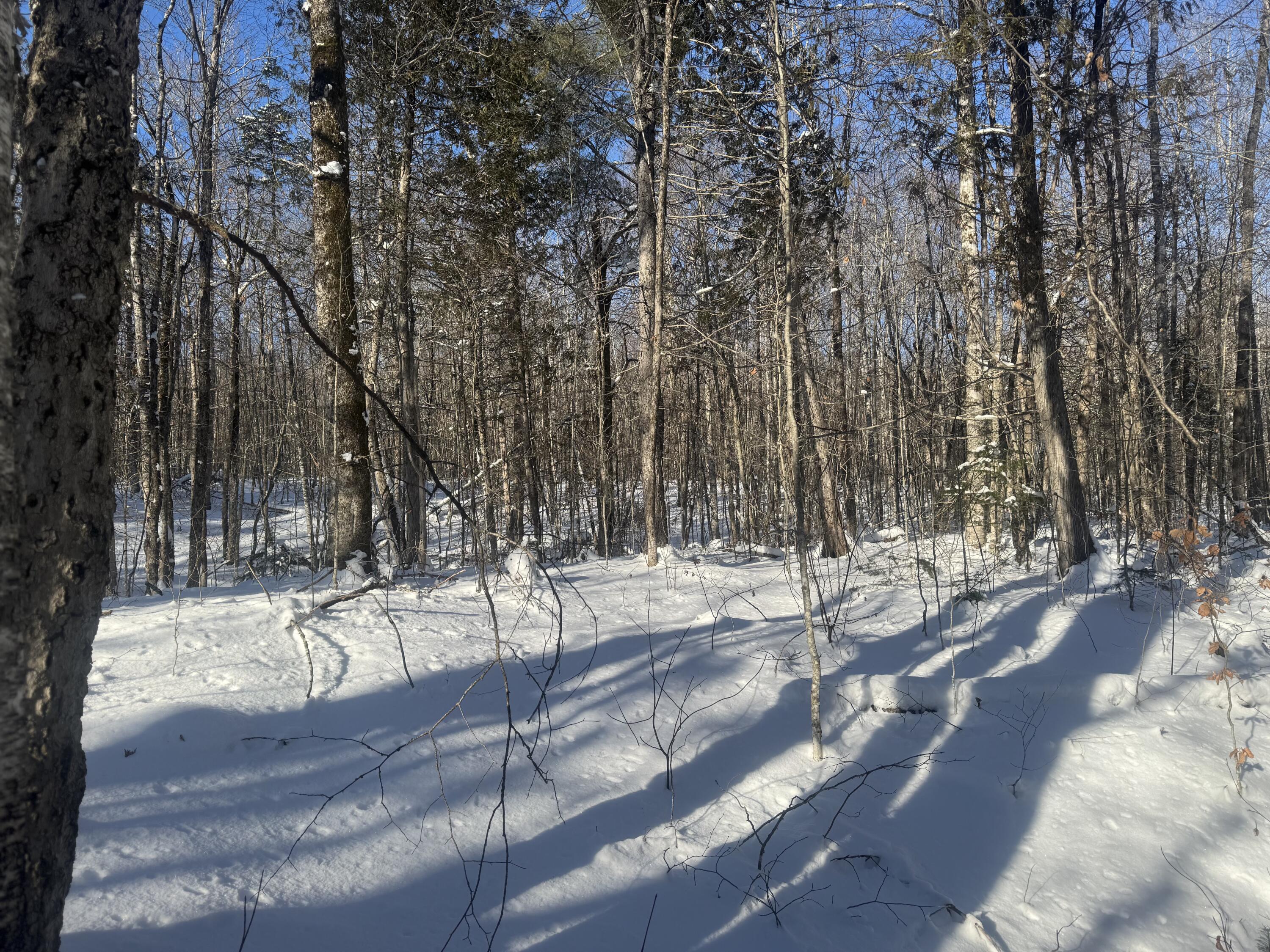 Lot 7 Curtis Farm Road Lincoln ME 04457