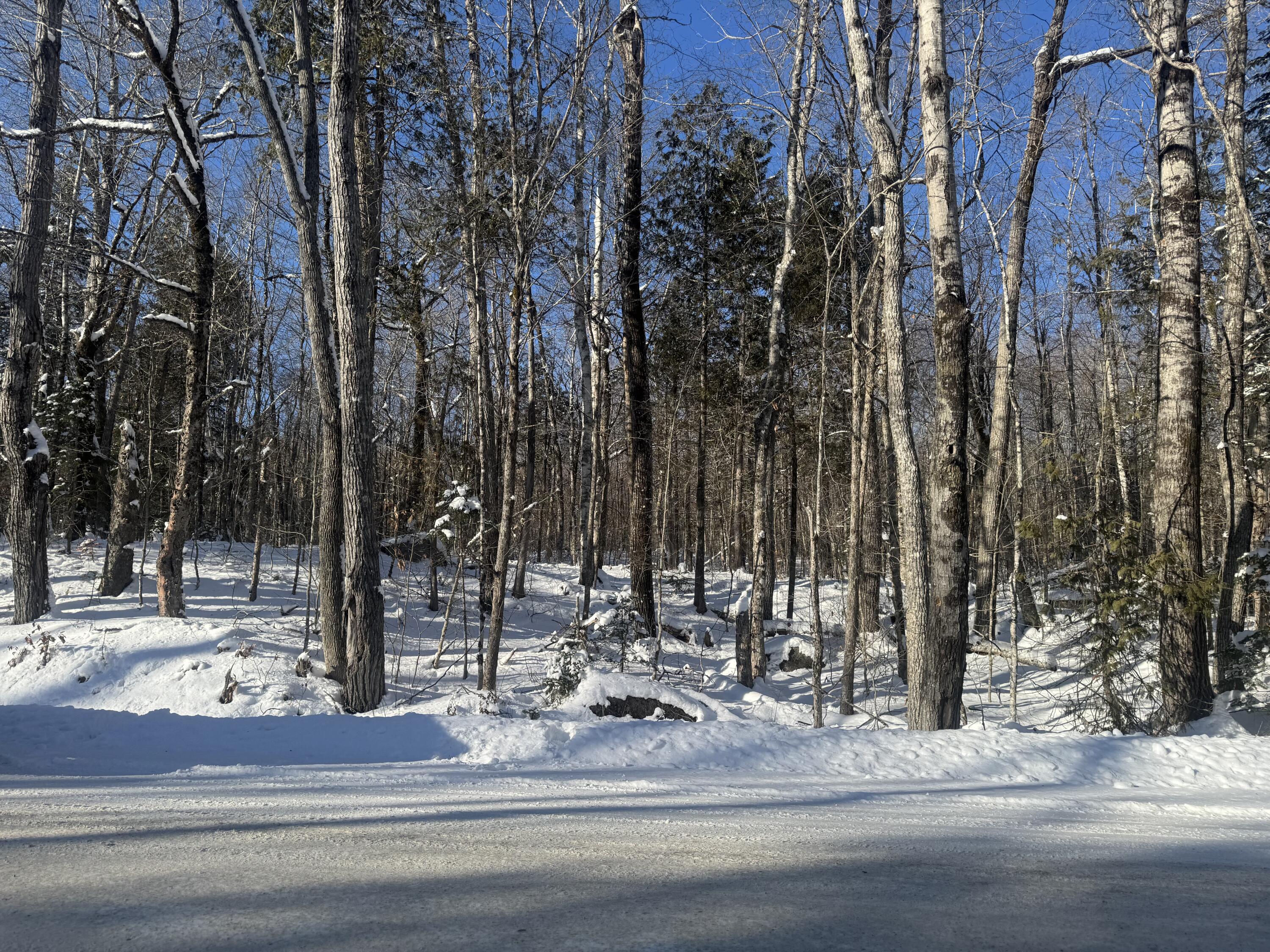 Lot 7 Curtis Farm Road Lincoln ME 04457