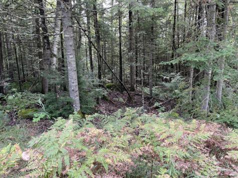 684 Lower Detroit Road Plymouth ME 04969