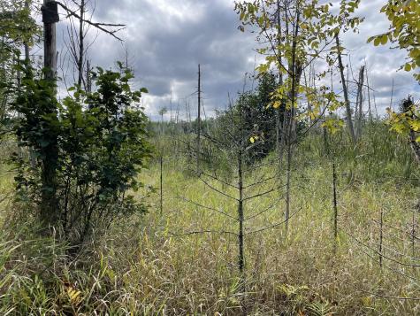 684 Lower Detroit Road Plymouth ME 04969