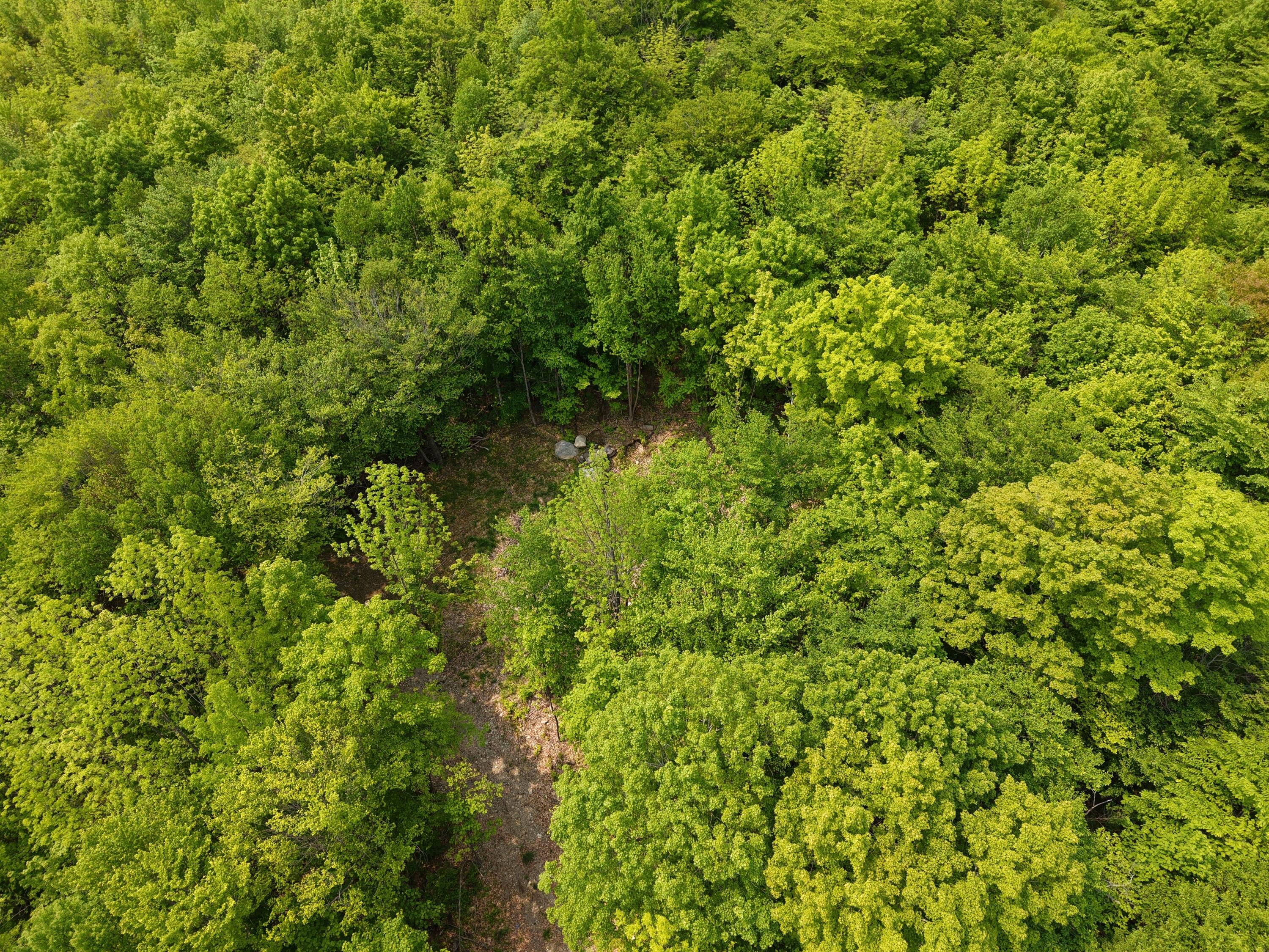 M12l1-14 Ira Mountain Road Kingfield ME 04947