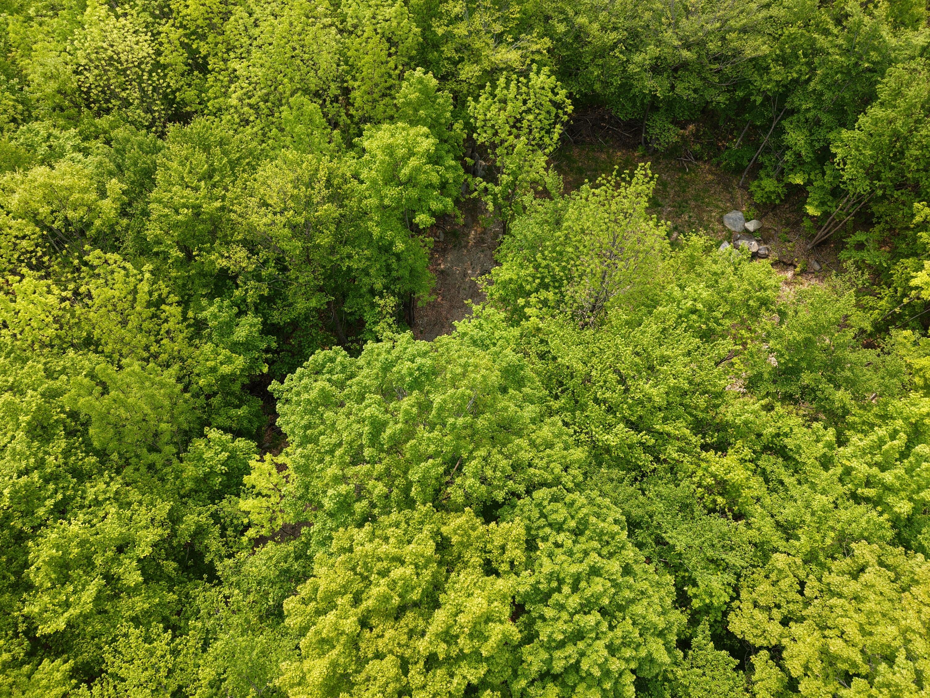 M12l1-14 Ira Mountain Road Kingfield ME 04947