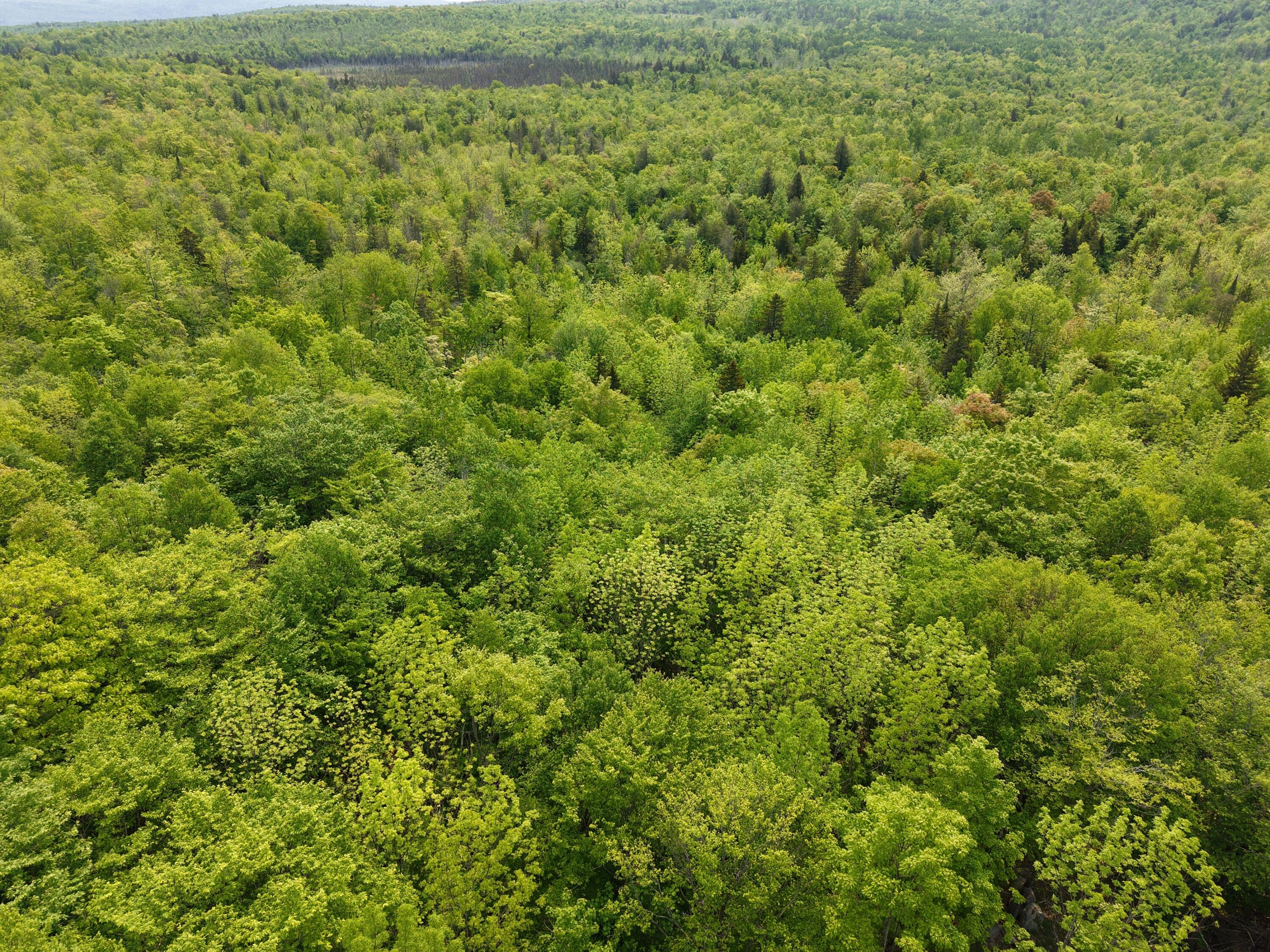 M12l1-14 Ira Mountain Road Kingfield ME 04947