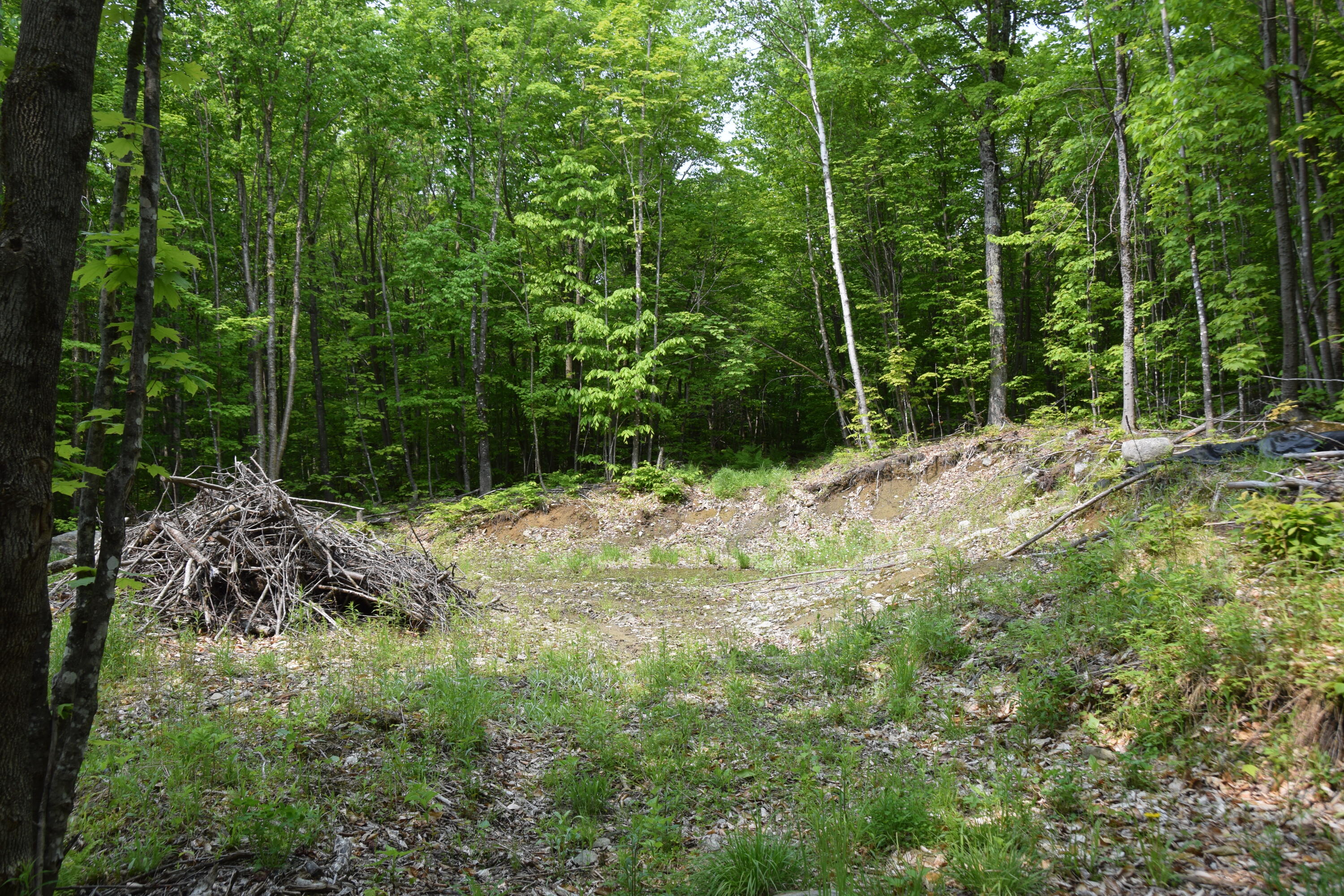 M12l1-14 Ira Mountain Road Kingfield ME 04947