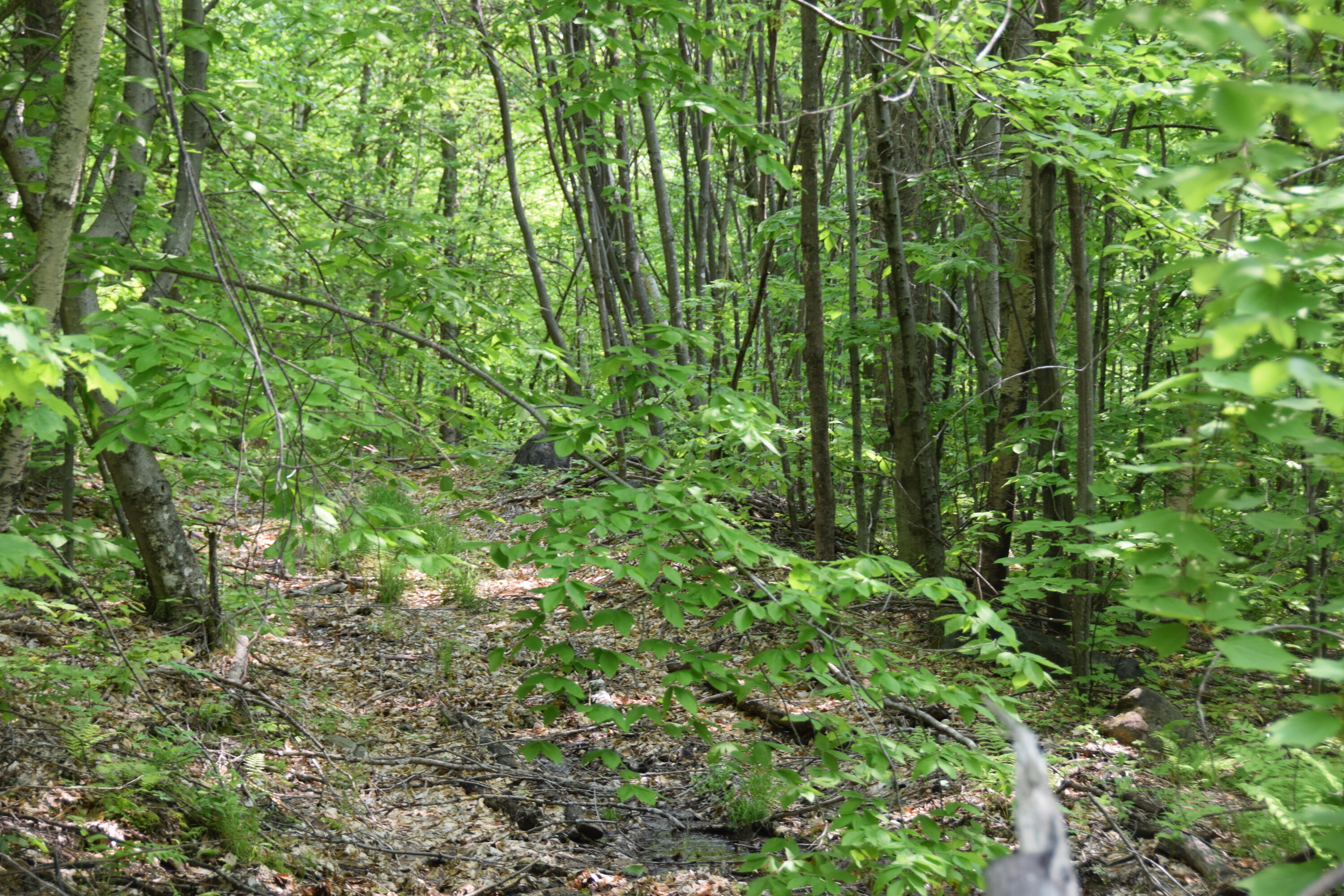 M12l1-14 Ira Mountain Road Kingfield ME 04947