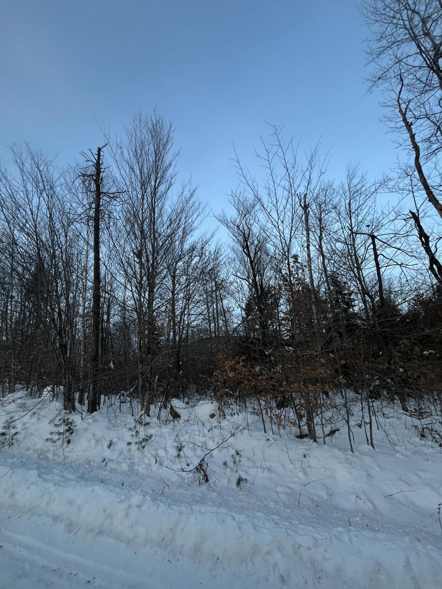L14 Concord Pond Road Woodstock ME 04219