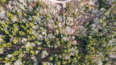 142 Sandy Acres Drive Sullivan ME 04664