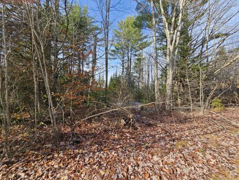 M5, L87-1 Main Street Palmyra ME 04965