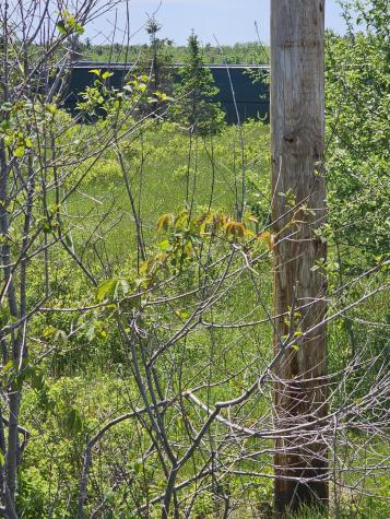 M5, L87-1 Main Street Palmyra ME 04965