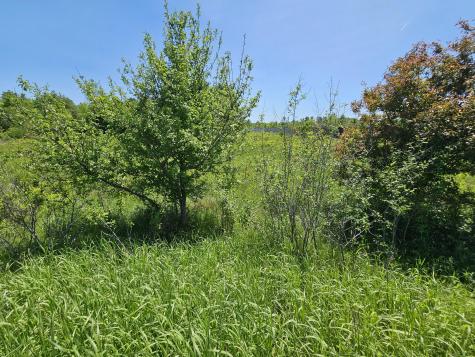 M5, L87-1 Main Street Palmyra ME 04965