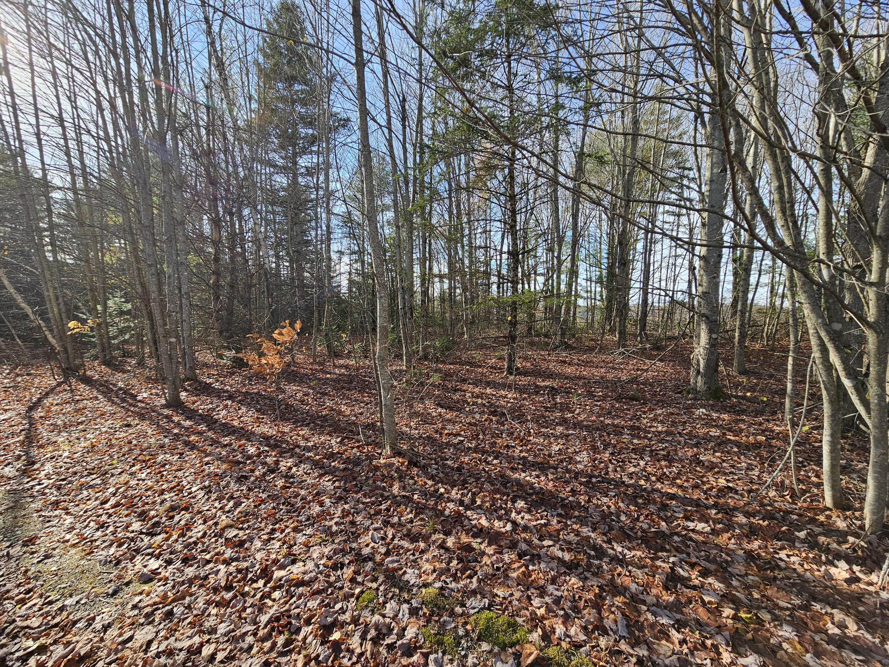 M5, L87-1 Main Street Palmyra ME 04965