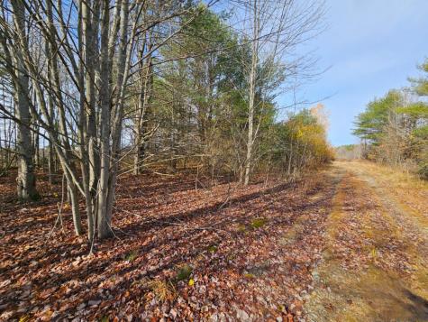 M5, L87-1 Main Street Palmyra ME 04965