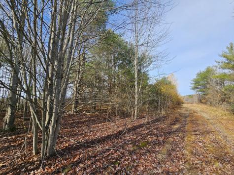 M5, L87-1 Main Street Palmyra ME 04965