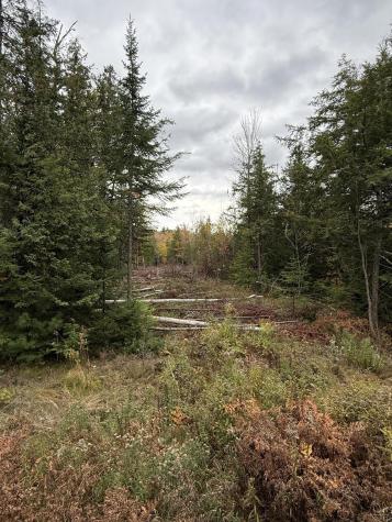 711 Preble Avenue Madison ME 04950