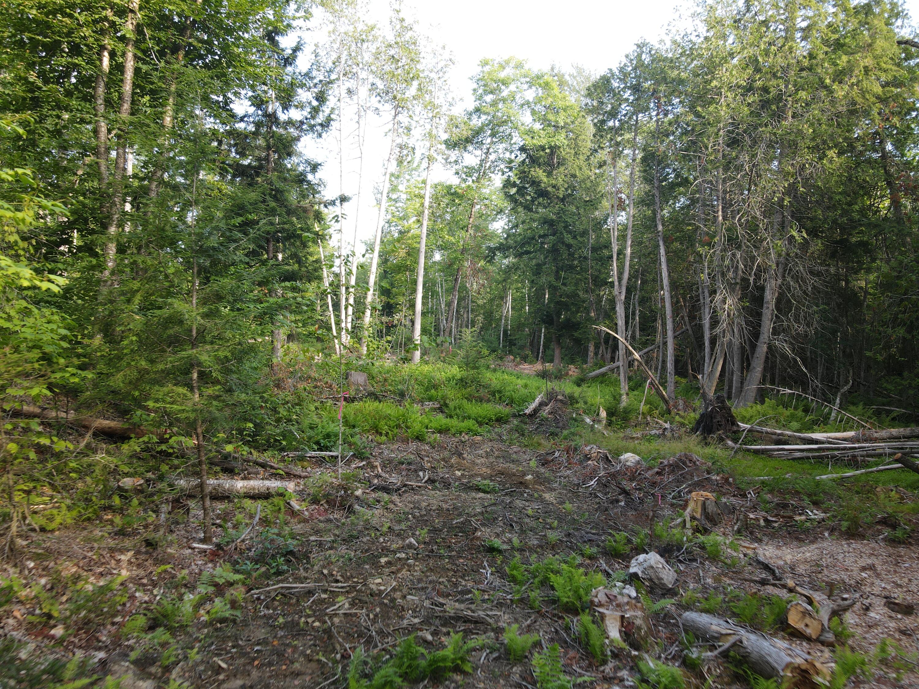 Lot 7 Oak Pond Road Skowhegan ME 04967