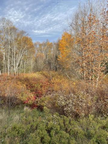 M16L10 River Road Calais ME 04619