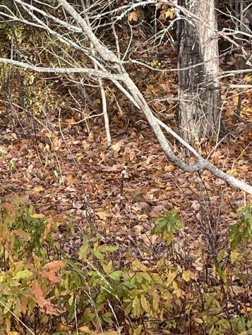 M16L10 River Road Calais ME 04619