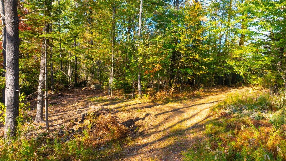 729 Main Street Sumner ME 04292