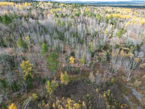 Lot 7a, 14.1, 15 Off Main Road Kossuth Twp ME 04490