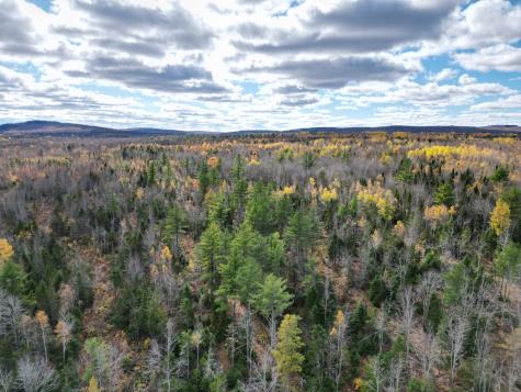 Lot 7a, 14.1, 15 Off Main Road Kossuth Twp ME 04490