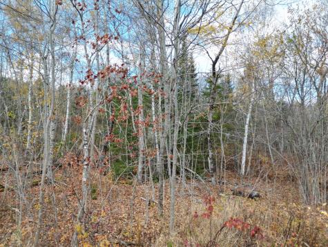 Lot 7a, 14.1, 15 Off Main Road Kossuth Twp ME 04490