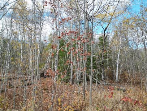 Lot 7a, 14.1, 15 Off Main Road Kossuth Twp ME 04490