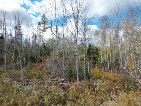 Lot 7a, 14.1, 15 Off Main Road Kossuth Twp ME 04490