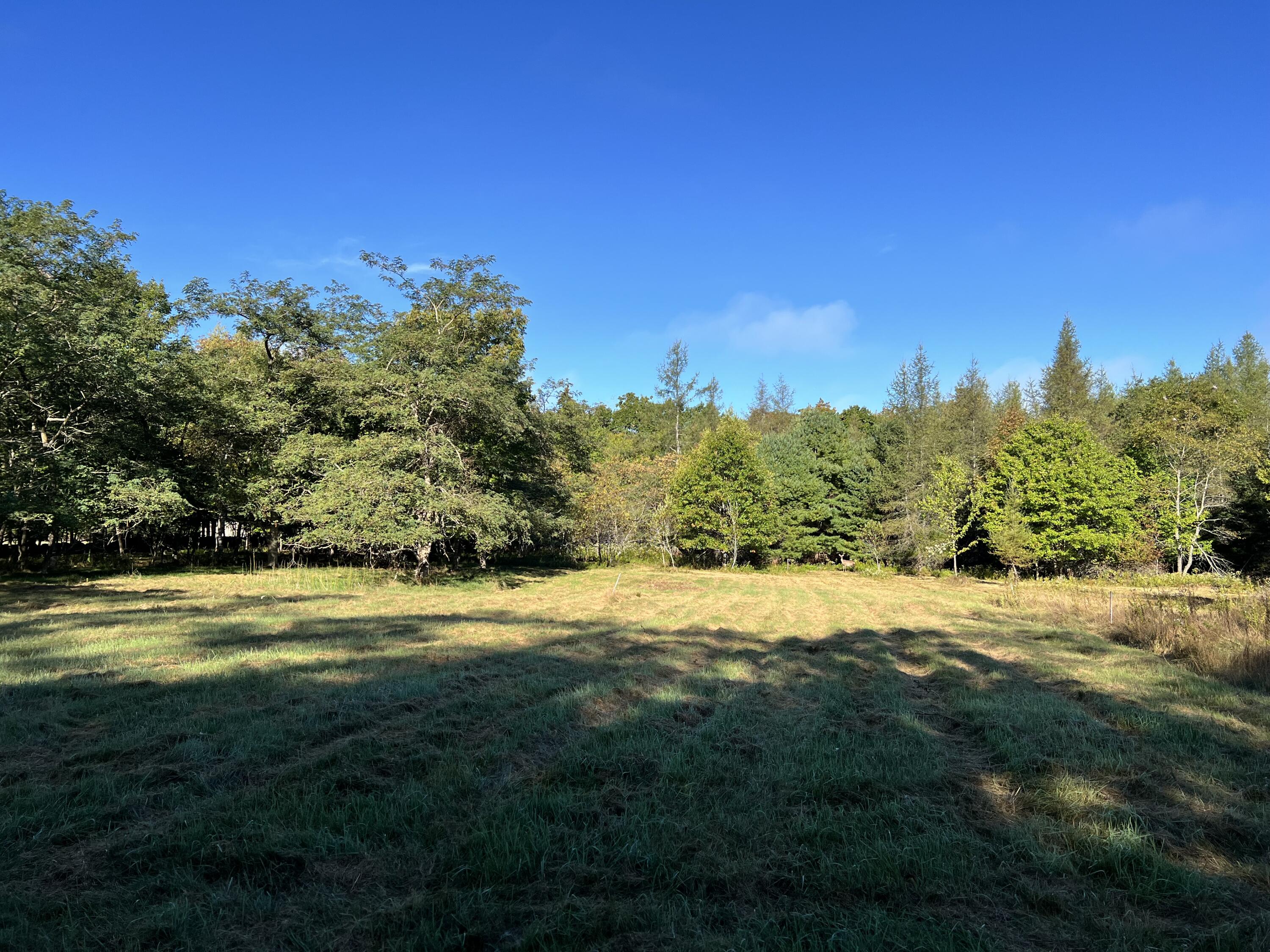 526 Castine Road Castine ME 04421