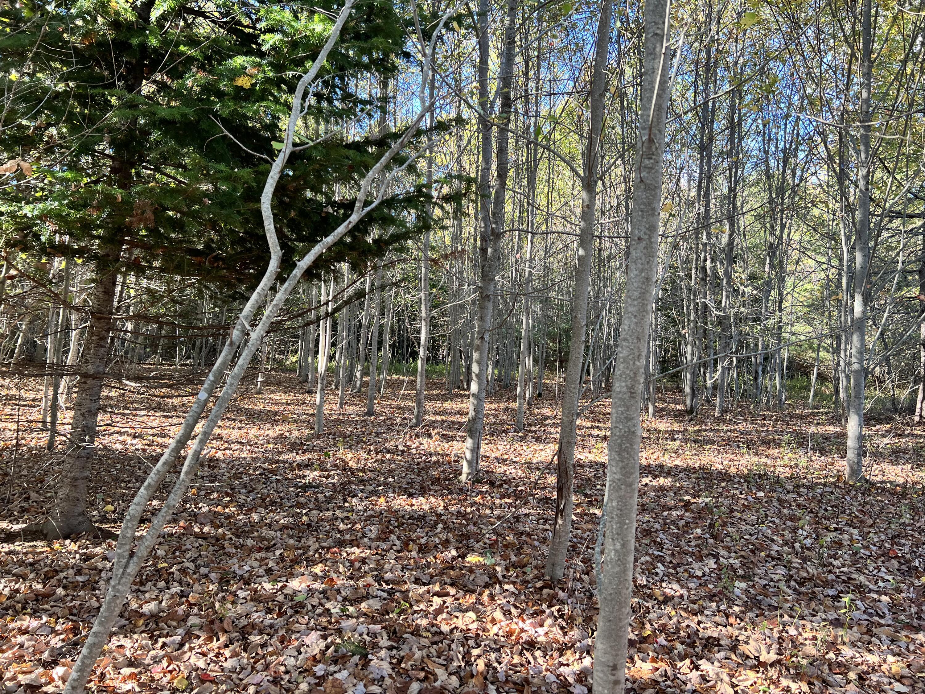 526 Castine Road Castine ME 04421