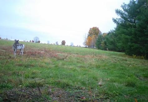 16A Pooler Road Pittsfield ME 04967