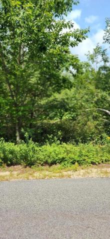 LOT#33 Shore Acres Road Parsonsfield ME 04047