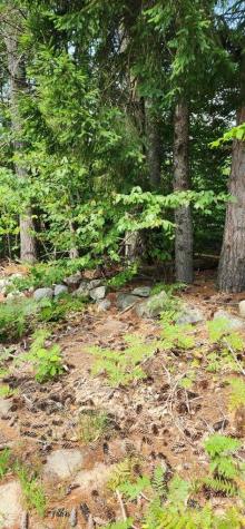 LOT#33 Shore Acres Road Parsonsfield ME 04047