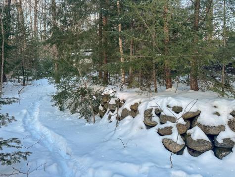 Lot 61.1 Elm Street Orneville Twp ME 04463