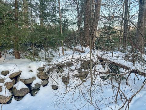 Lot 61.1 Elm Street Orneville Twp ME 04463