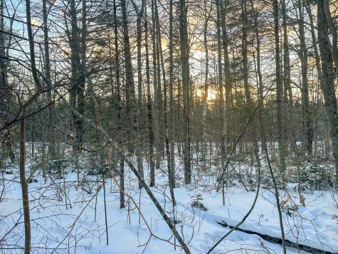 Lot 61.1 Elm Street Orneville Twp ME 04463