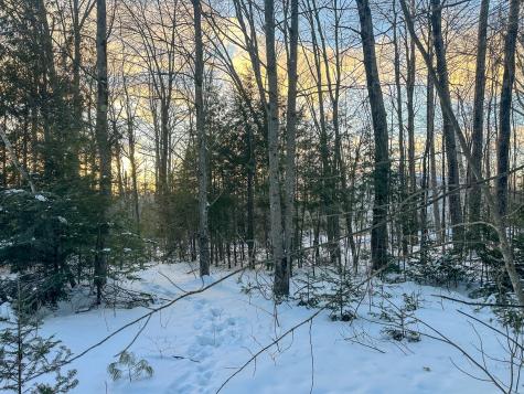 Lot 61.1 Elm Street Orneville Twp ME 04463