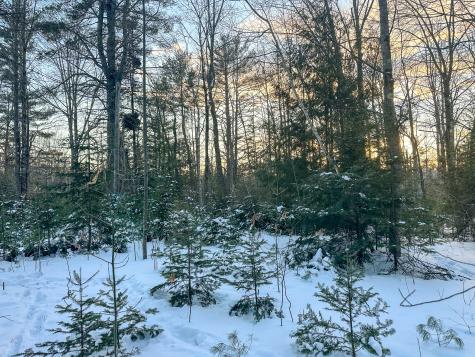 Lot 61.1 Elm Street Orneville Twp ME 04463