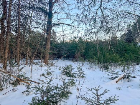 Lot 61.1 Elm Street Orneville Twp ME 04463