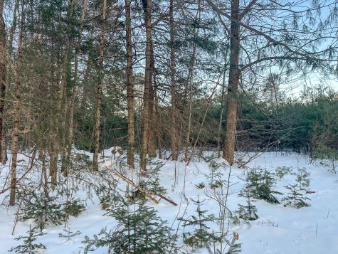 Lot 61.1 Elm Street Orneville Twp ME 04463