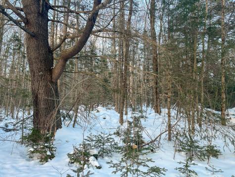 Lot 61.1 Elm Street Orneville Twp ME 04463