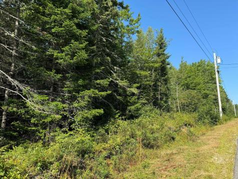 Lot 2 Mill River Road Harrington ME 04643