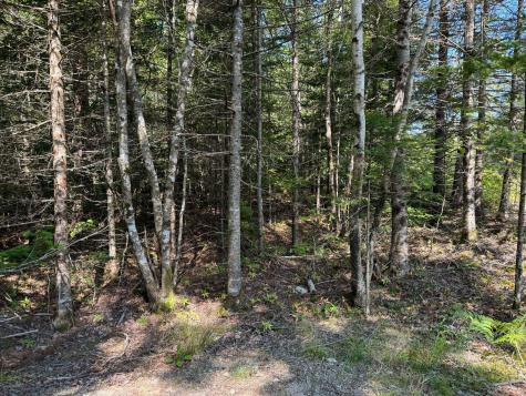 Lot 2 Mill River Road Harrington ME 04643