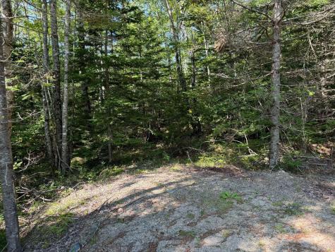 Lot 2 Mill River Road Harrington ME 04643