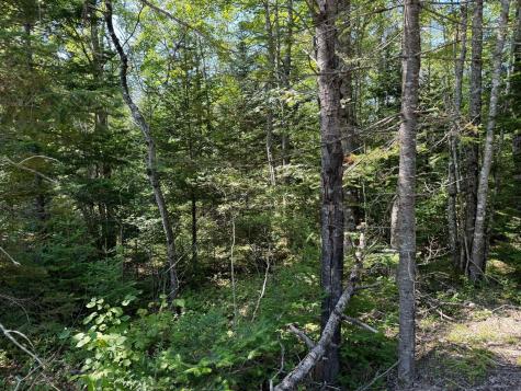Lot 2 Mill River Road Harrington ME 04643