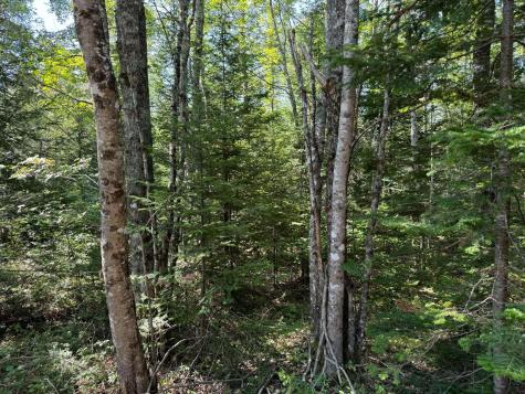 Lot 2 Mill River Road Harrington ME 04643