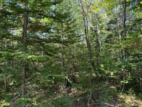 Lot 2 Mill River Road Harrington ME 04643