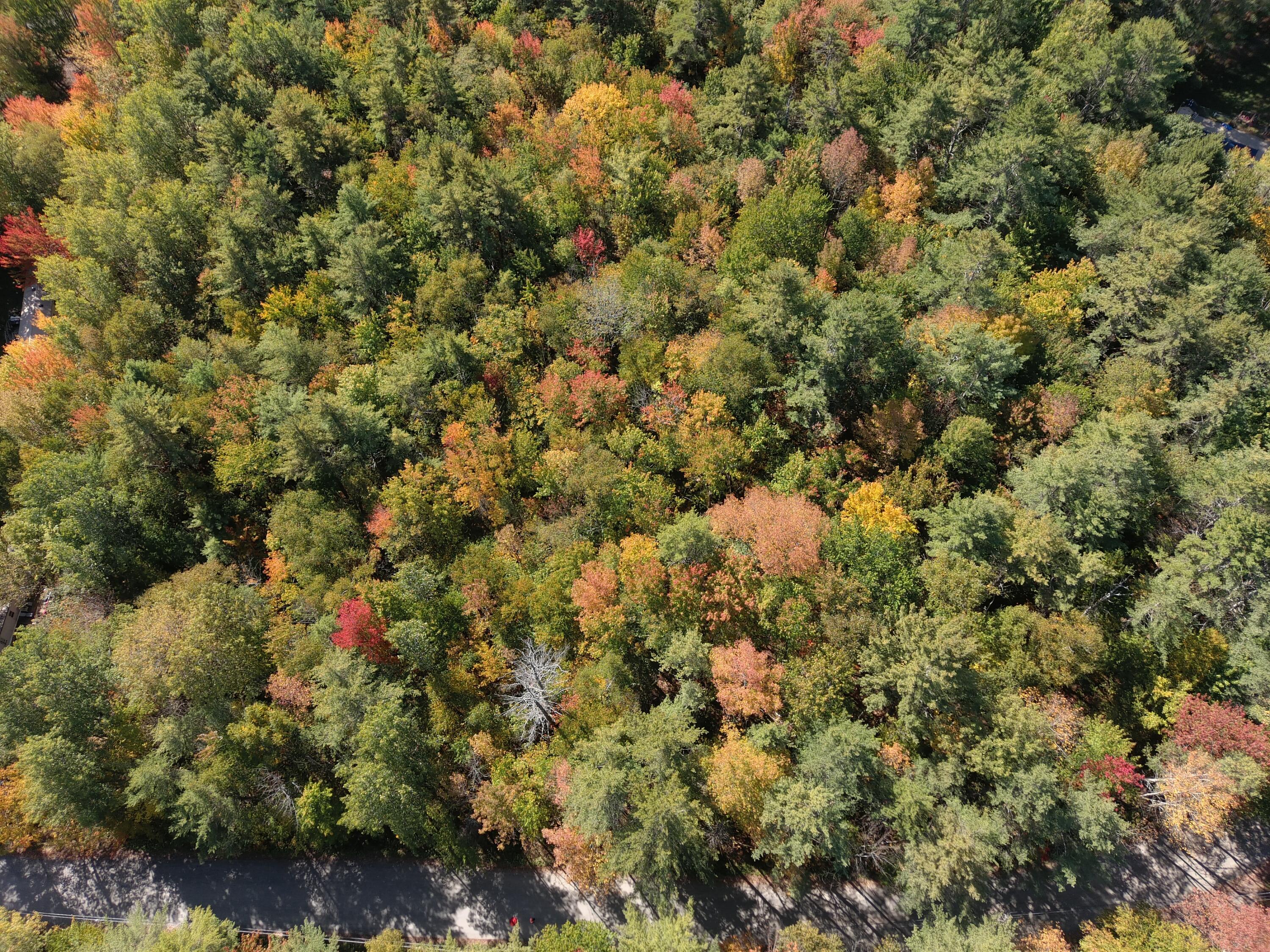 MAP5 Lot39 Hardwood Lane Fairfield ME 04937
