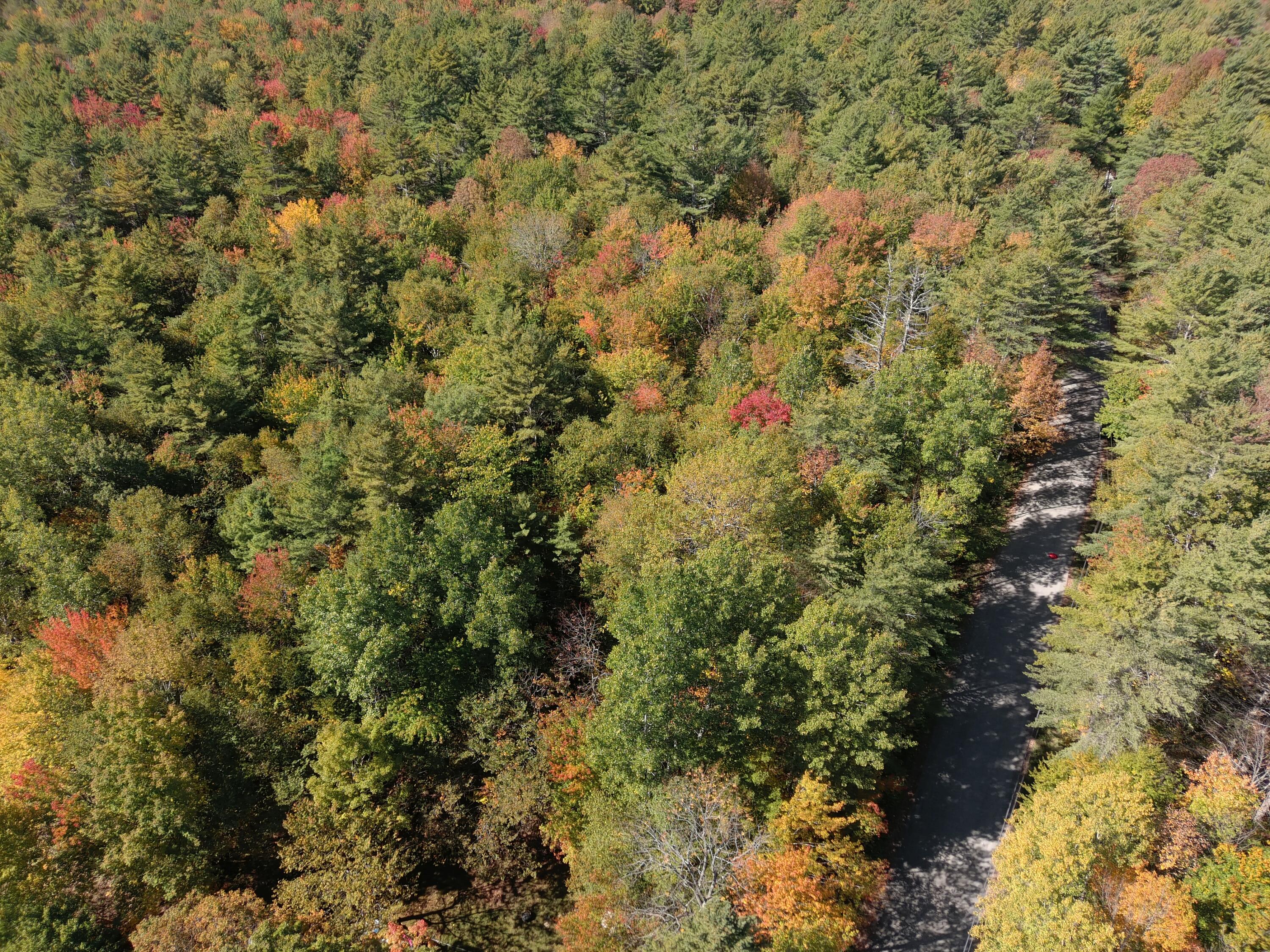 MAP5 Lot39 Hardwood Lane Fairfield ME 04937