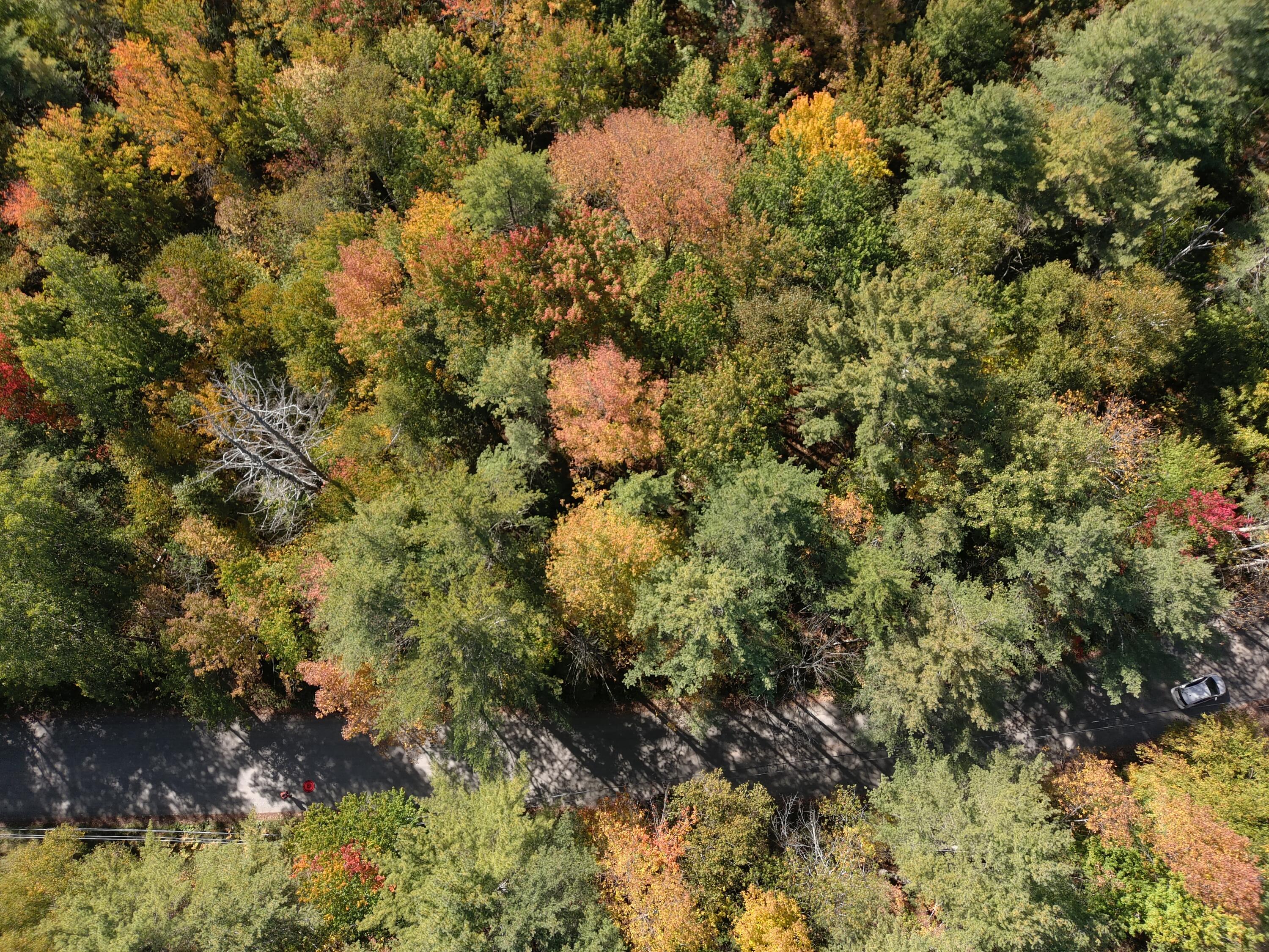 MAP5 Lot39 Hardwood Lane Fairfield ME 04937