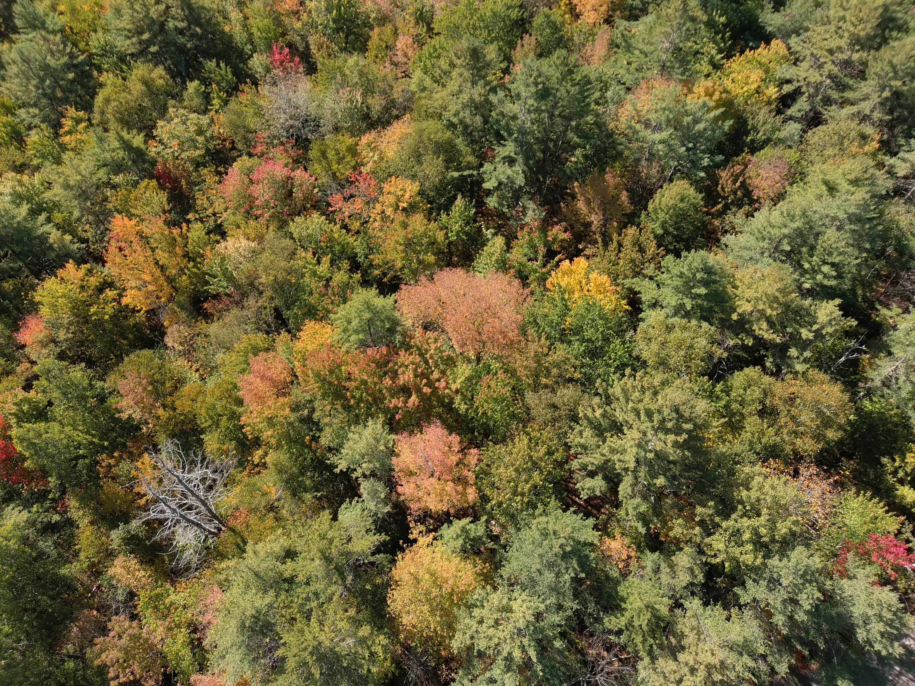 MAP5 Lot39 Hardwood Lane Fairfield ME 04937